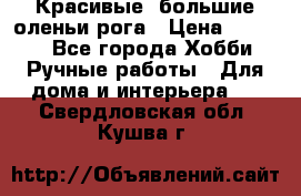 Красивые  большие оленьи рога › Цена ­ 3 000 - Все города Хобби. Ручные работы » Для дома и интерьера   . Свердловская обл.,Кушва г.